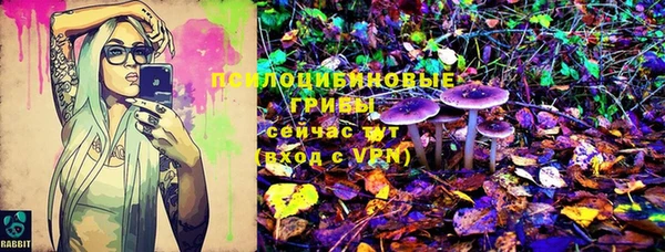 прущая мука Алексин