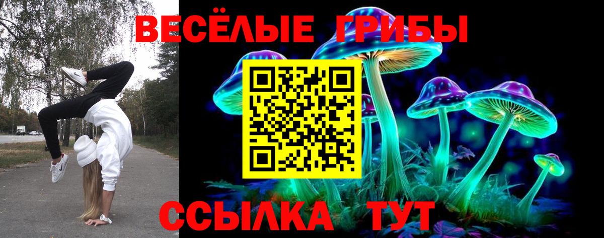 Протвино  Псилоцибиновые грибы мицелий  Вход с VPN 