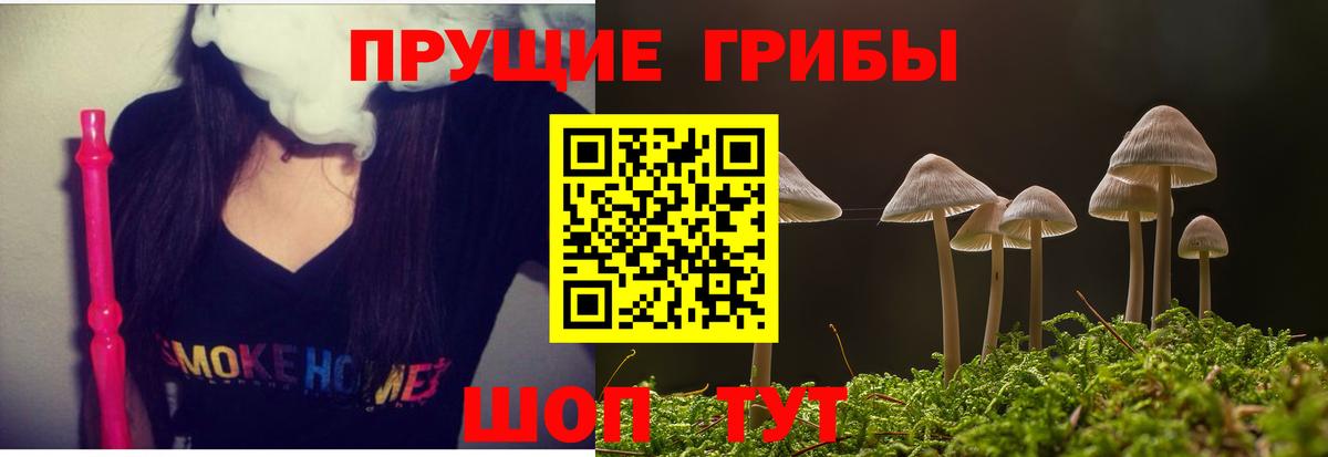 Псилоцибиновые грибы GOLDEN TEACHER Протвино